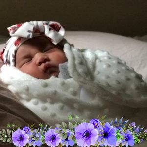 Meet your Posher, Jessica